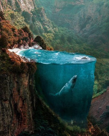 Хусейна Шахина фотограф