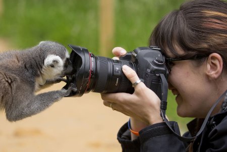 Фотограф в зоопарке