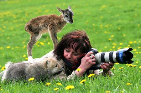 Фотограф фотографирует животных
