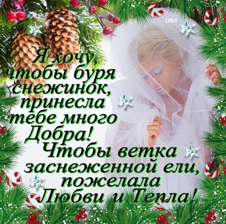 Счастья и добра в новом году