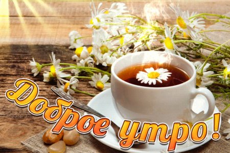 Гарного дня