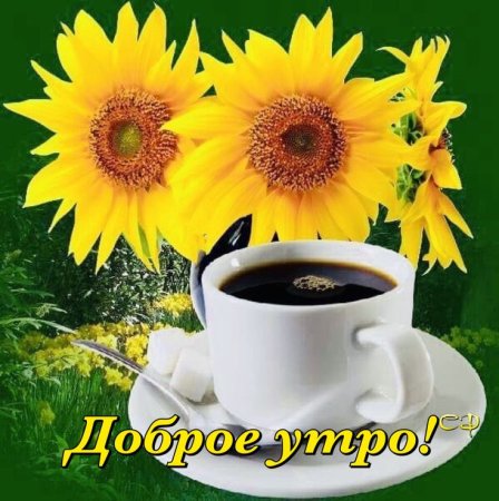 Доброе утро Подсолнухи