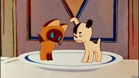 Леонид Шварцман котёнок по имени Гаф