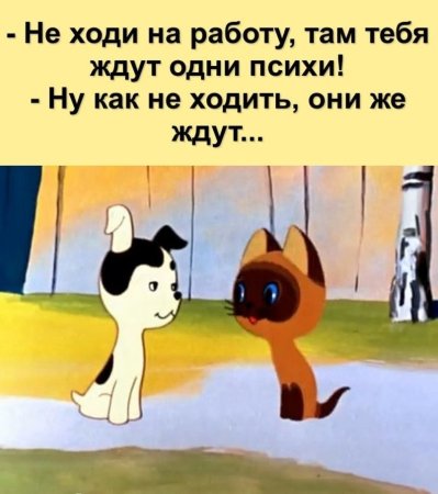 Котенок по имени Гав 1