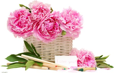 Цветок "пион"