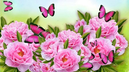 Обои на телефон пионы