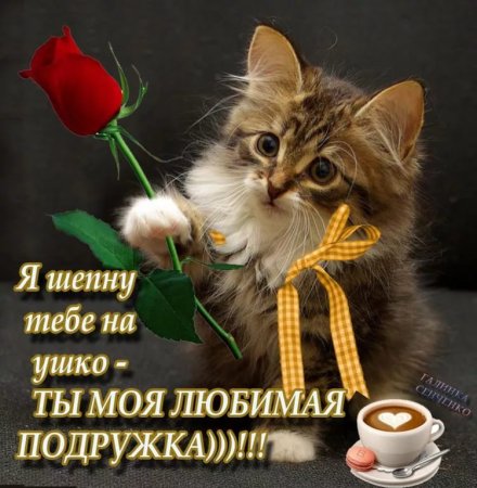 Любимой подруге