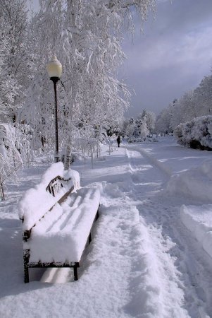 Снегопад зимой