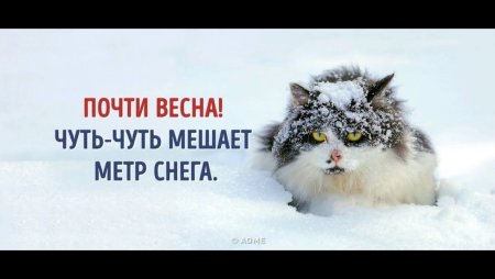 Доброго снежно весеннего утра