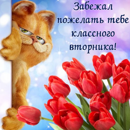 Поздравление с вторником в картинках