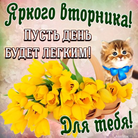 Классного вторника с пожеланиями