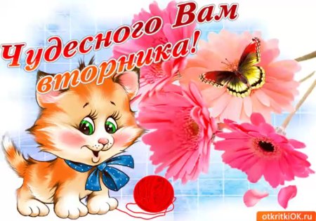 Хорошего вторника отличного настроения