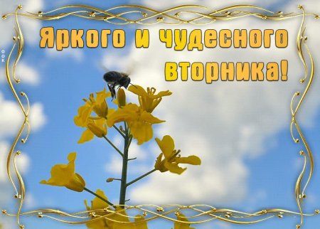 Здравствуй вторник