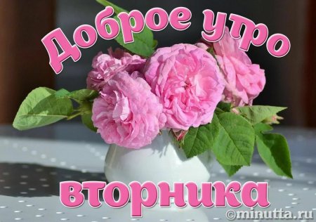 Доброе утро вторника