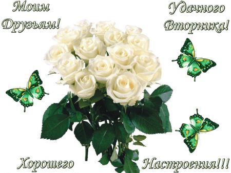 Удачного вторника