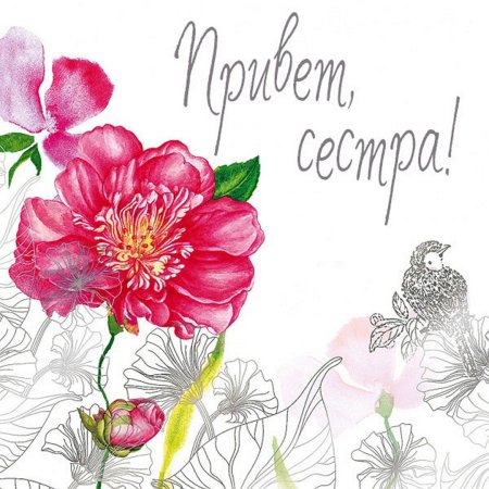 Открытки привет сестра
