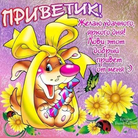 Приветик сестренка