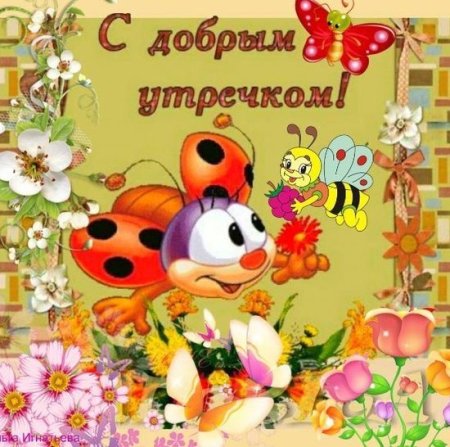 Привет сестричка открытки