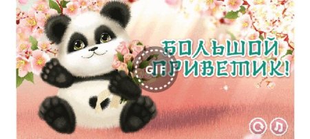 Привет сестрёнка картинки