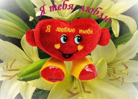 Привет любимому