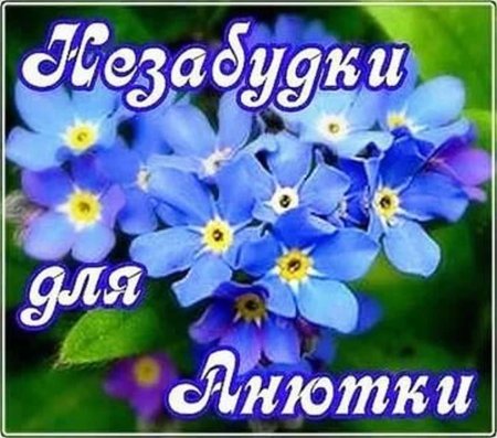 Незабудки для Анютки