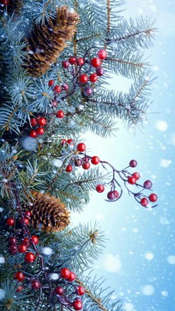 Новогодняя природа