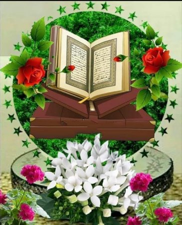 Открытки Жомга