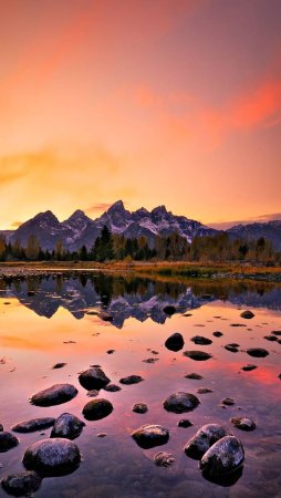 Спокойная природа