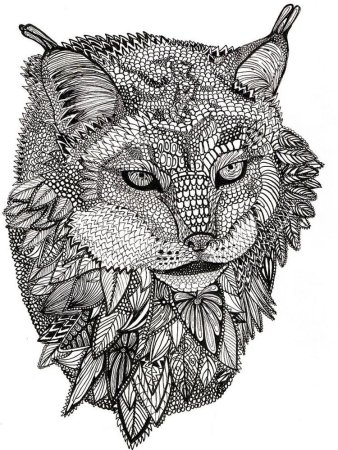 Раскраски антистресс Джоанна Басфорд