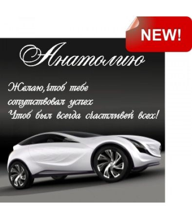 Поздравление с днем рождения Анатолия