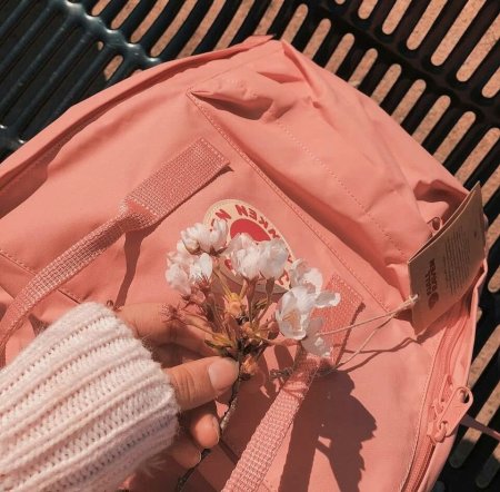 Эстетика персикогоцвета