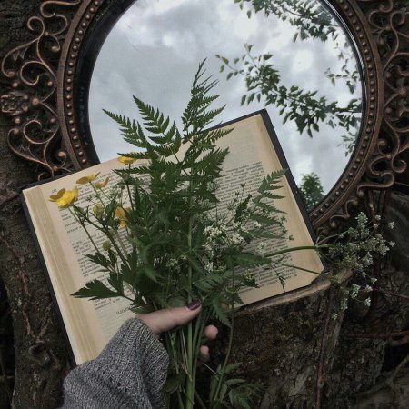 Вдохновение Эстетика