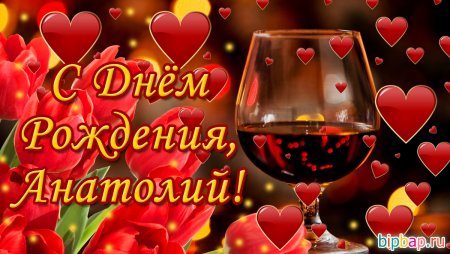 С днём рождения Анатолий