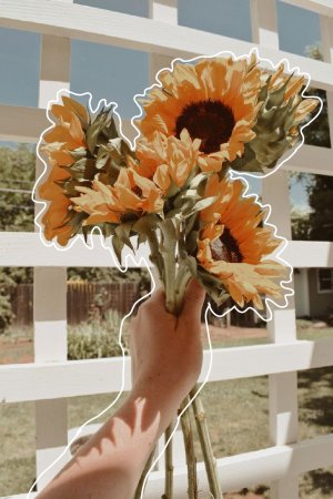 Эстетика подсолнухов