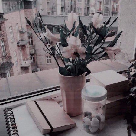 Приятная Эстетика