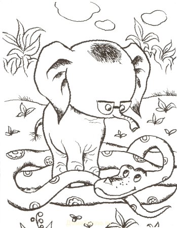 38 Попугаев раскраска удав