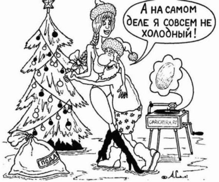 Новогодние приколы