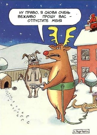 Анекдоты про Рождество смешные