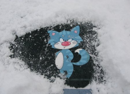 Снег в апреле прикольные