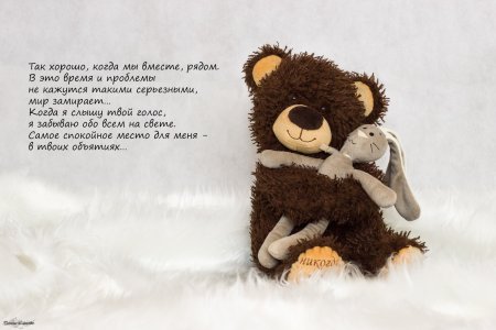 Стихотворение про плюшевого мишку