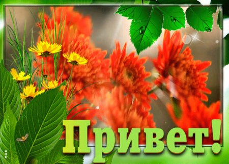 Открытка с приветствием женщине красивая