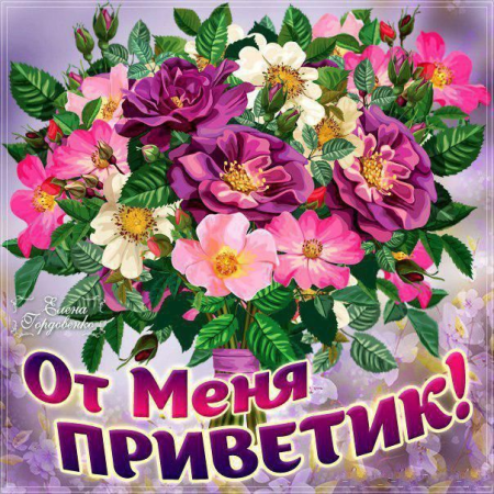 Привет открытки красивые