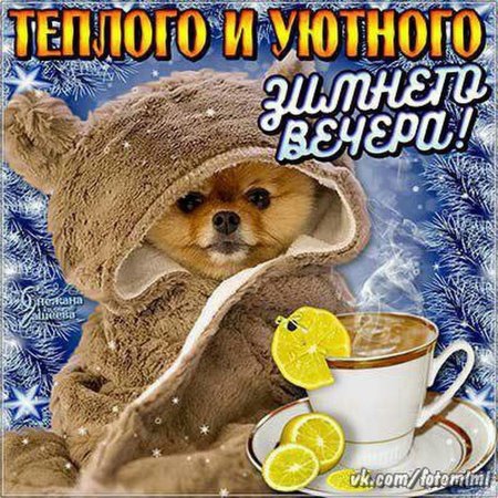 Приятного зимнего вечера и отличного настроения