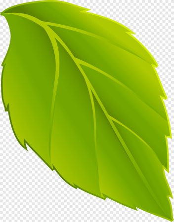 Зеленые листочки