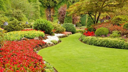 Красивый сад