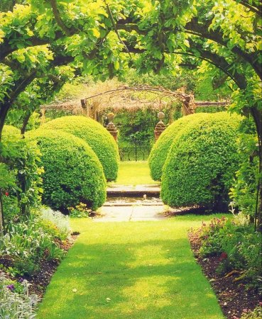 Берсо Салик