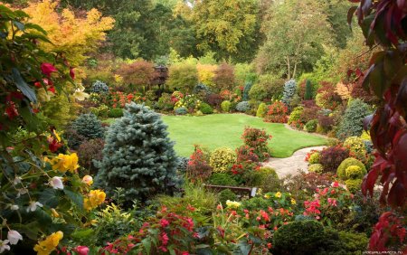 Осенний сад