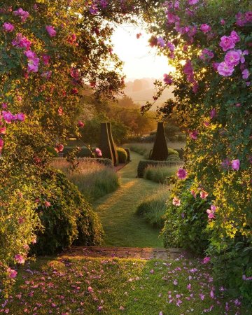 Красивый сад