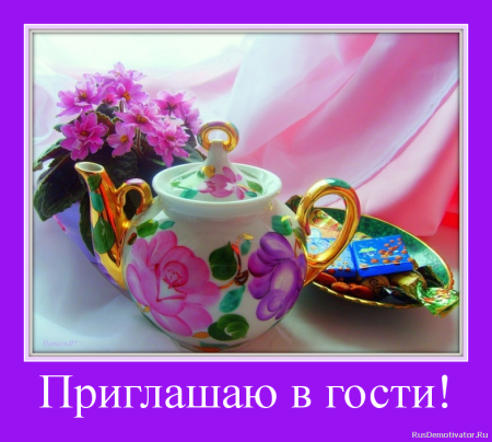 Приглашаю в гости