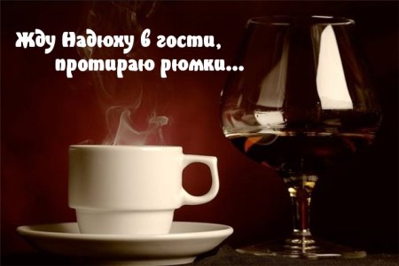 Ждем в гости